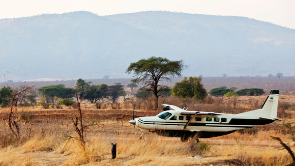 Att Resa med Jaktvapen till Afrika: En Guide